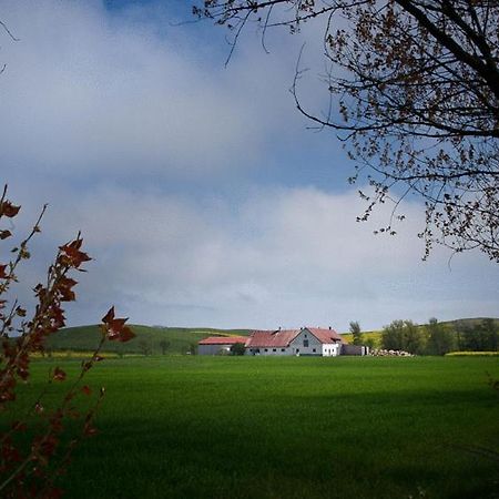 Bed & Breakfast Vinkille Löderup Buitenkant foto