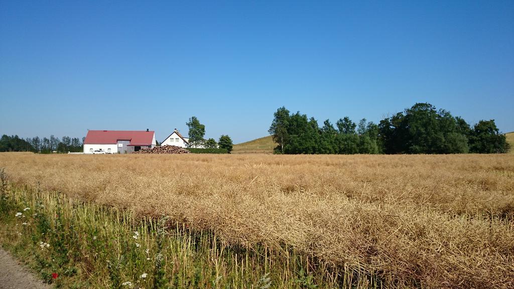 Bed & Breakfast Vinkille Löderup Buitenkant foto